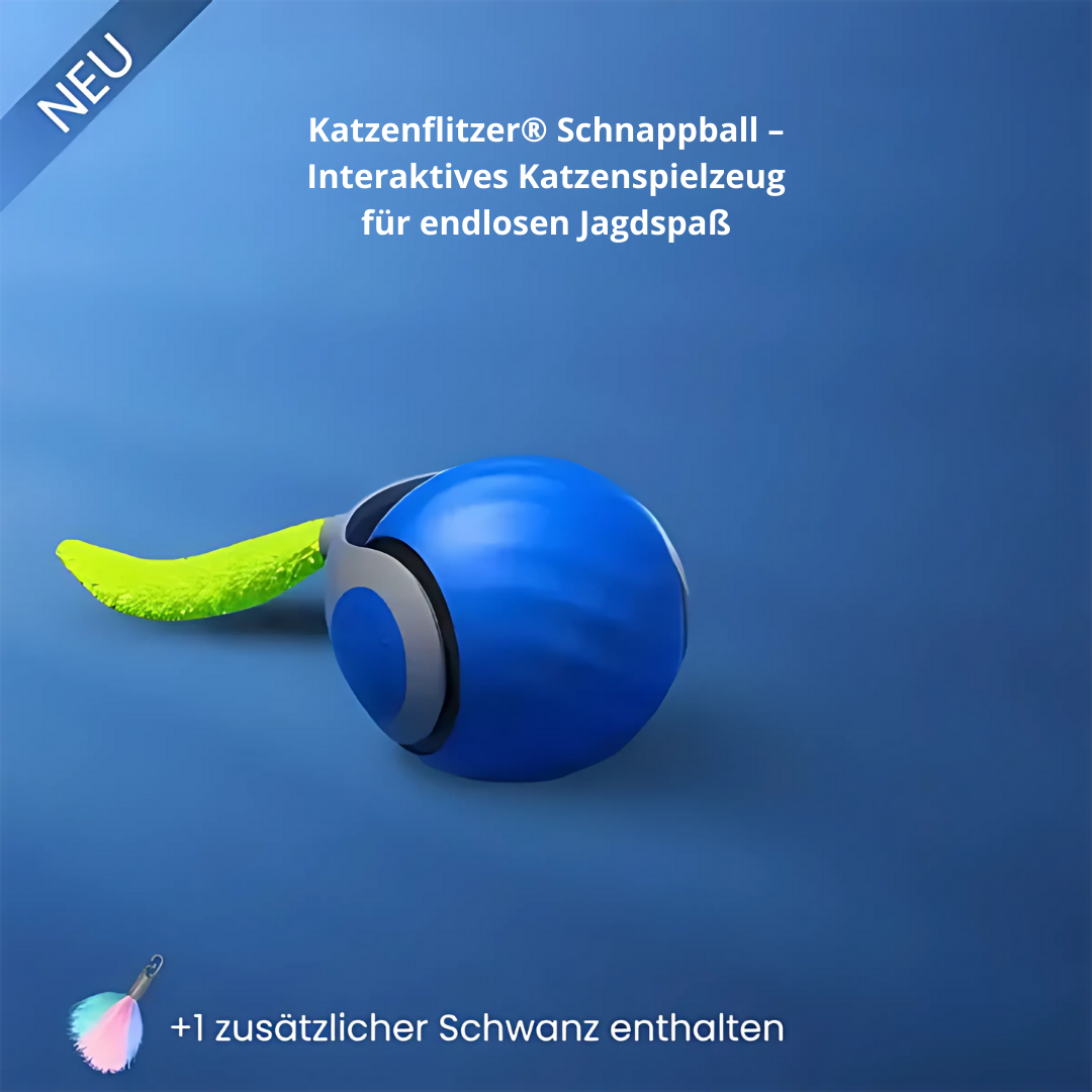Palla di zucchero Katzenflitzer