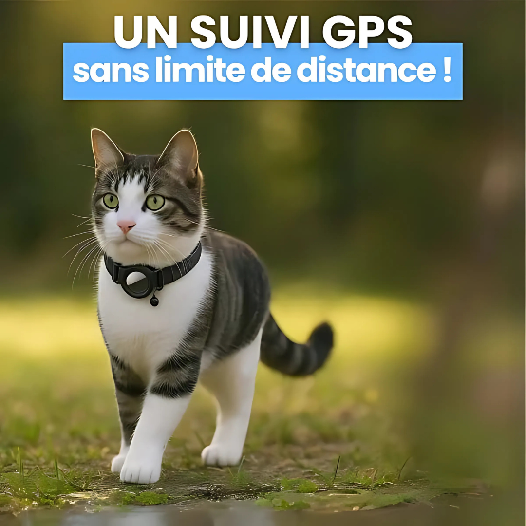Collare GPS per gatti