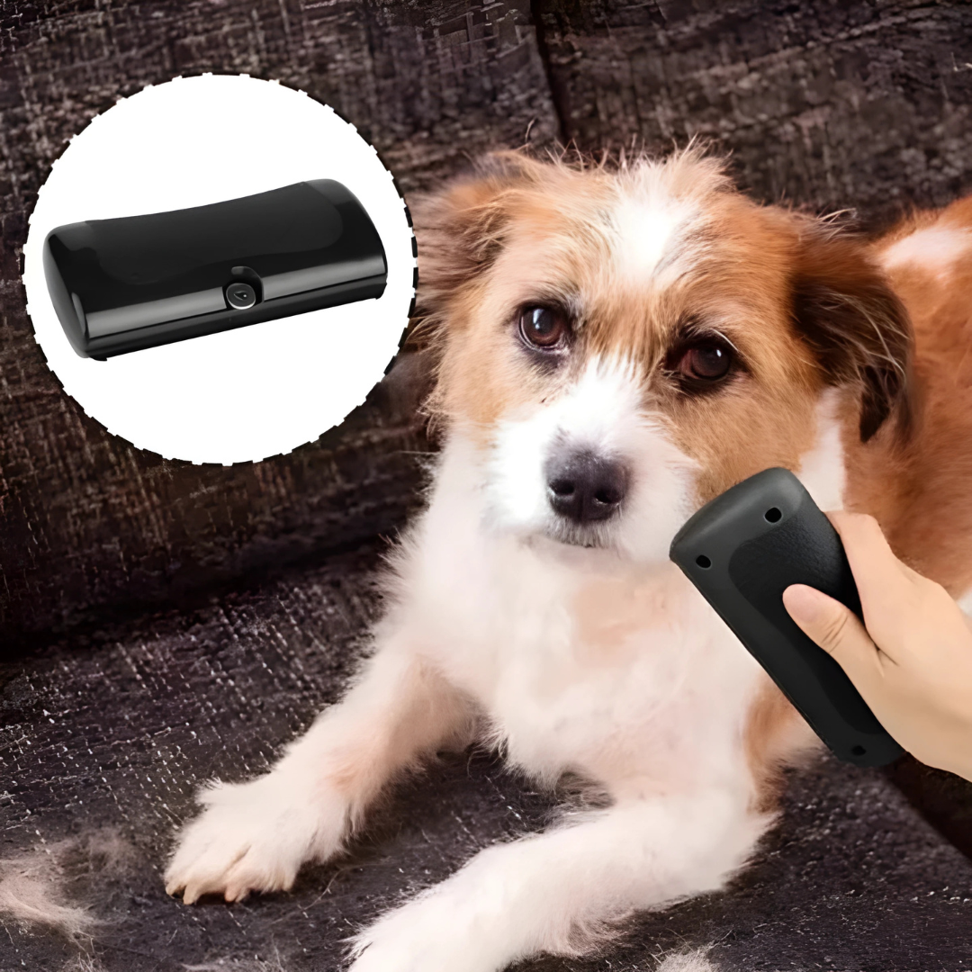 Spazzola per cani