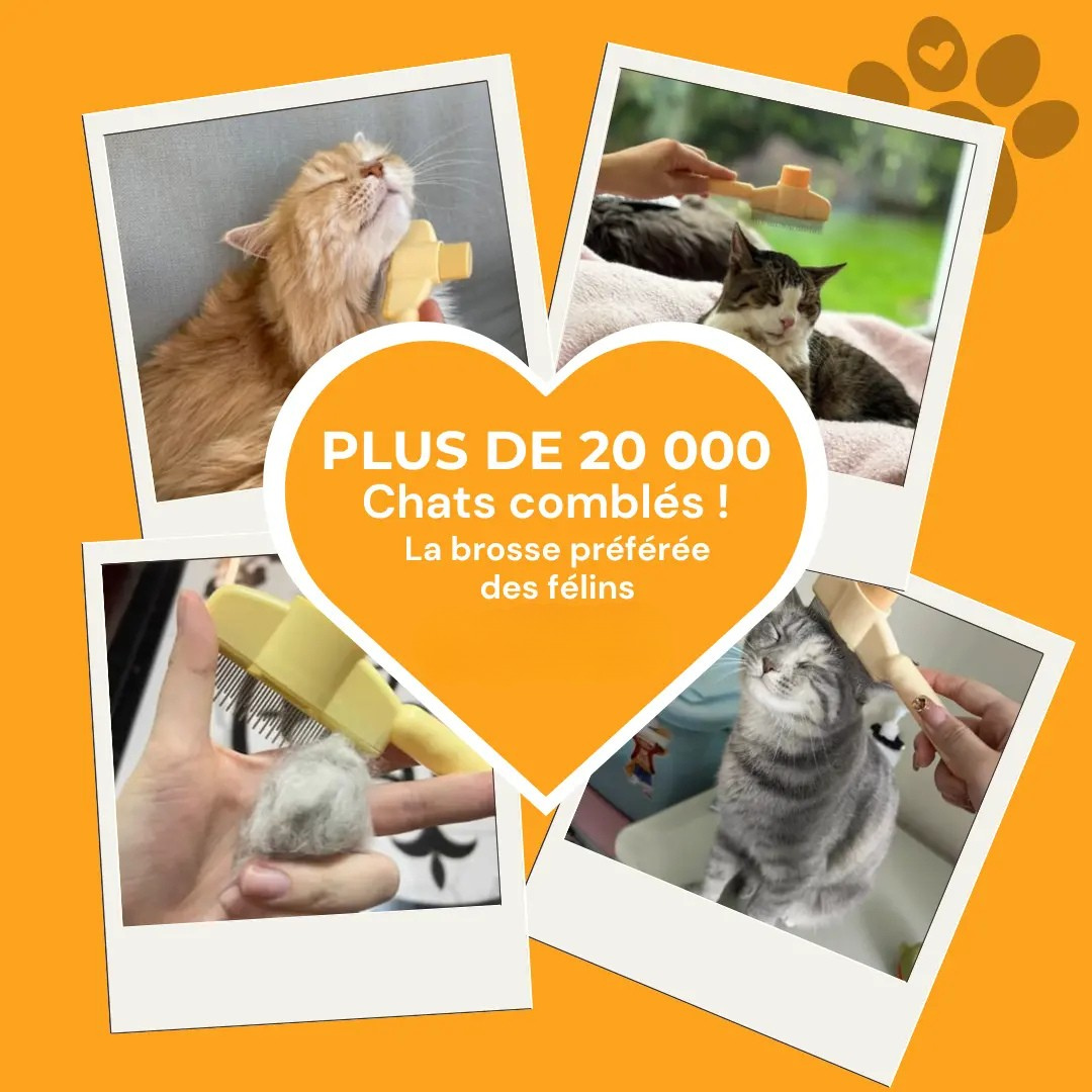 Spazzola per peli di gatto