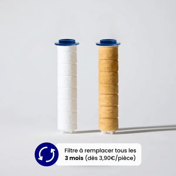 Soffione doccia filtrante