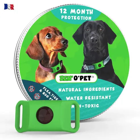 Collare antipulci e antizecche per cani