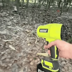 Souffleur électrique compact sans fil