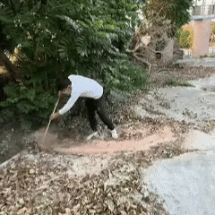 Souffleur léger et puissant
