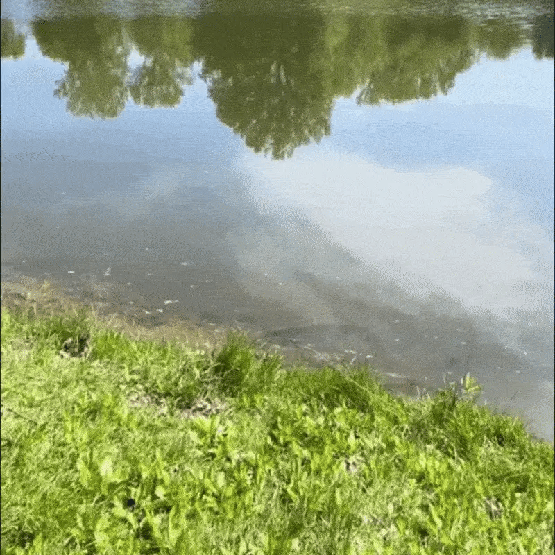 Polarisierte Premium-Anglerbrille mit UV-Schutz