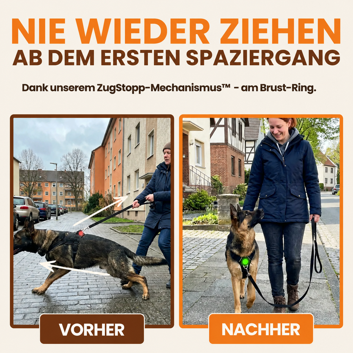 Zugschutzgeschirr für Hunde