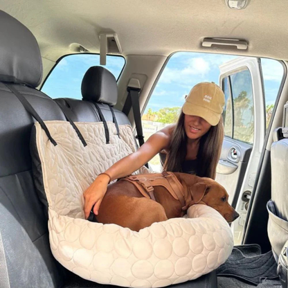 Kühlender Autositz für Hunde