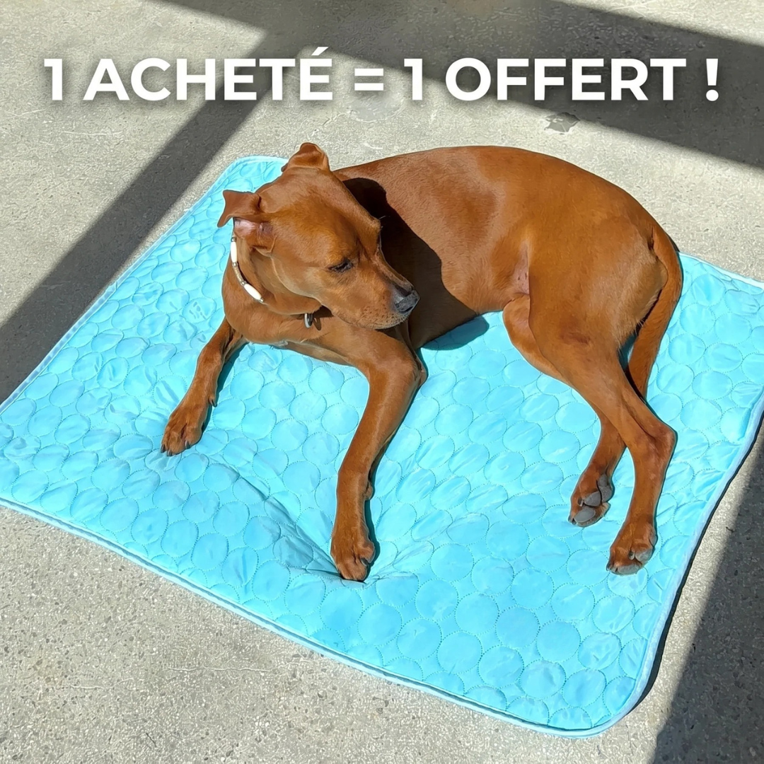 Tapis Rafraîchissant Chien Anti-Chaleur