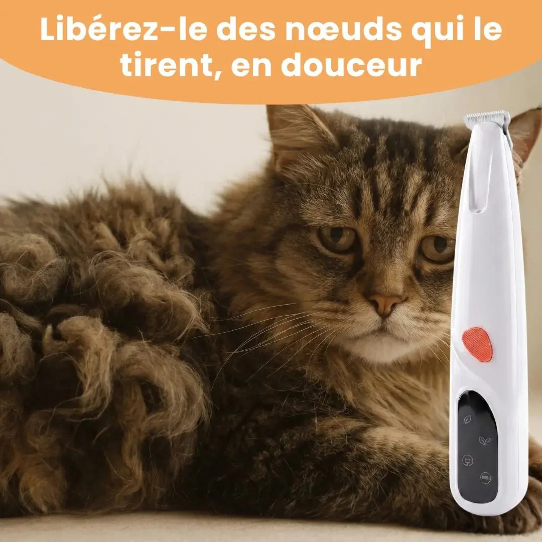 Präzisionsschermaschine für Katzen