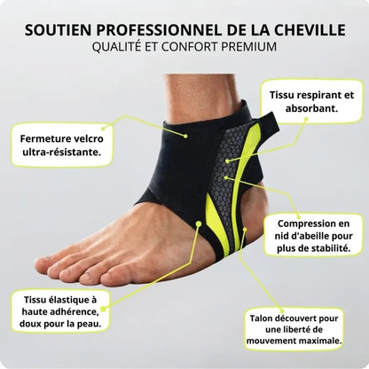Chevillère de maintien et stabilisation sportive