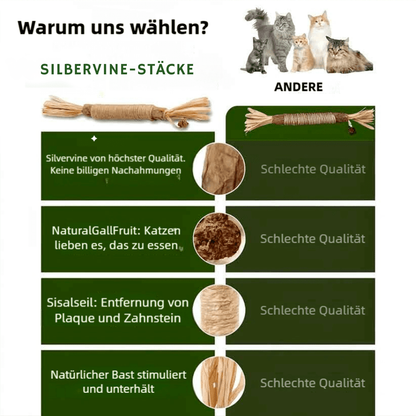 Natürliche Zahnstocher aus Silvervine für Katzen