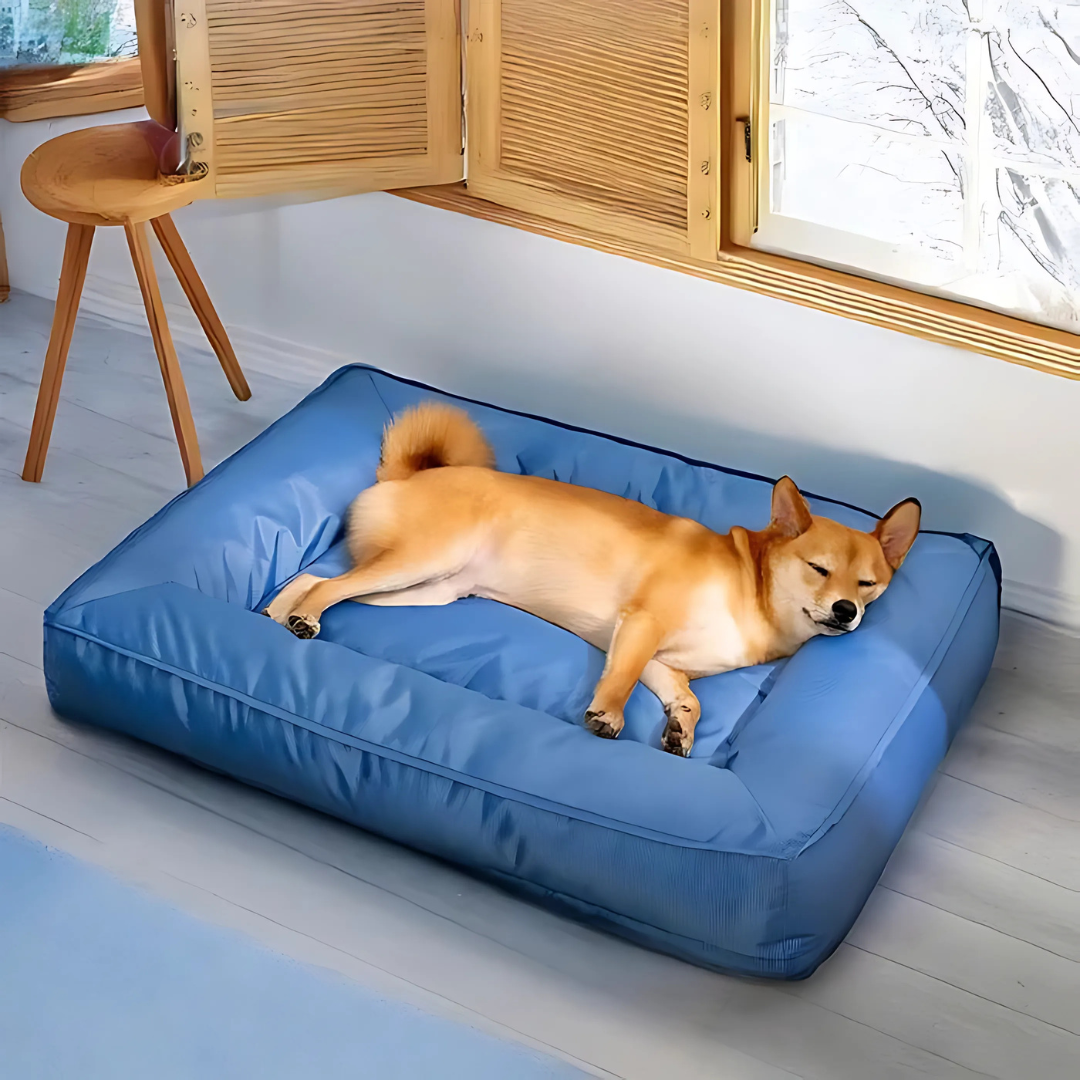 Lit Orthopédique pour Chien