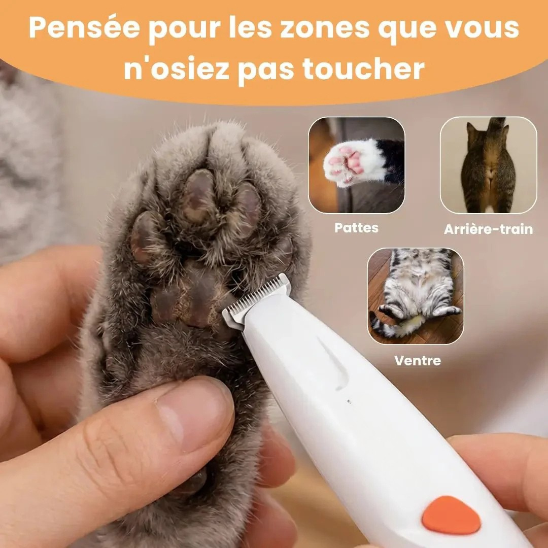 Präzisionsschermaschine für Katzen