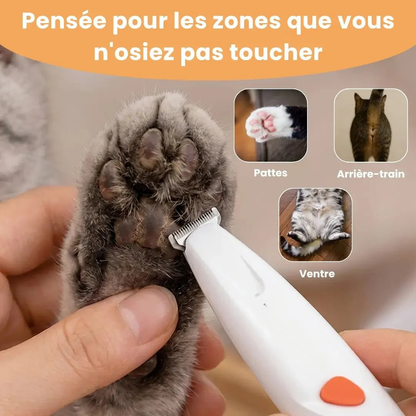Präzisionsschermaschine für Katzen