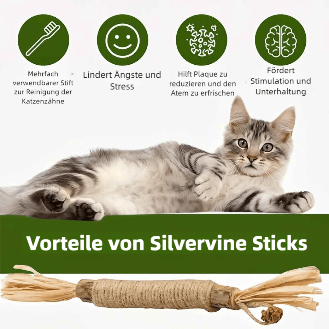 Natürliche Zahnstocher aus Silvervine für Katzen