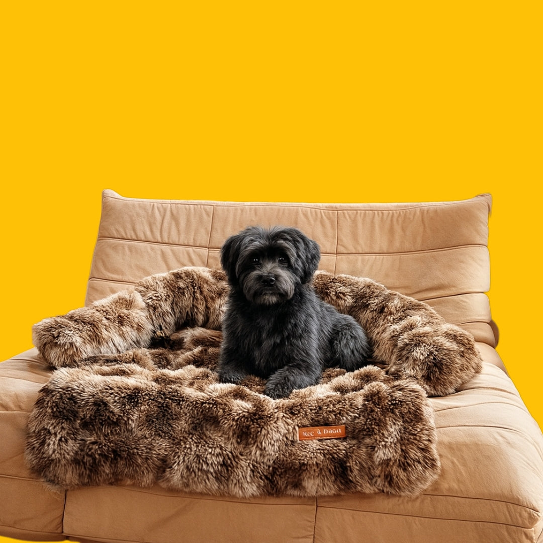 Canapé-lit doux et confortable pour chien