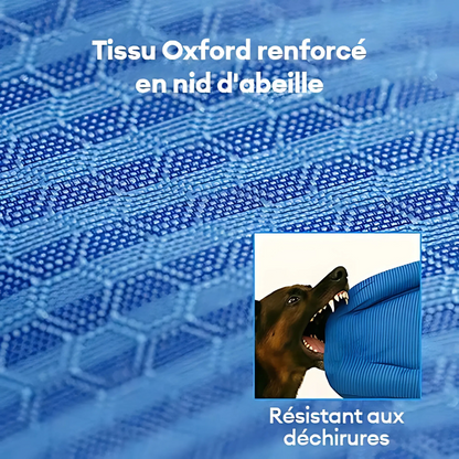 Lit Orthopédique pour Chien