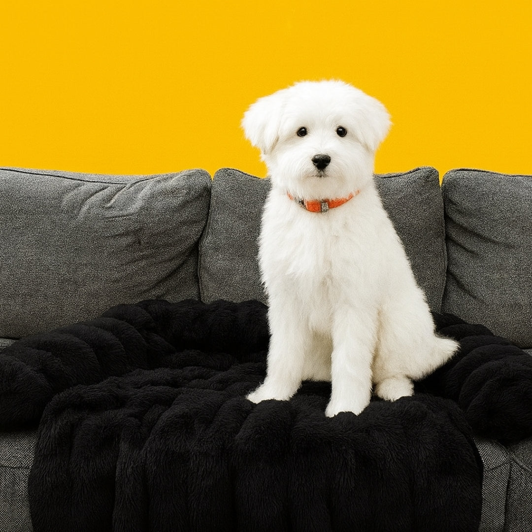 Canapé-lit doux et confortable pour chien