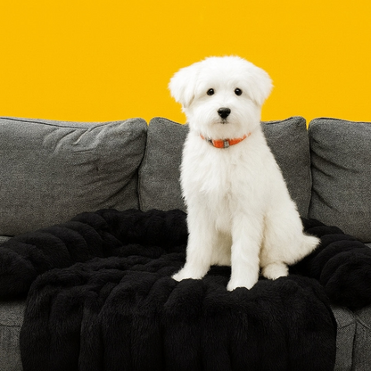 Canapé-lit doux et confortable pour chien