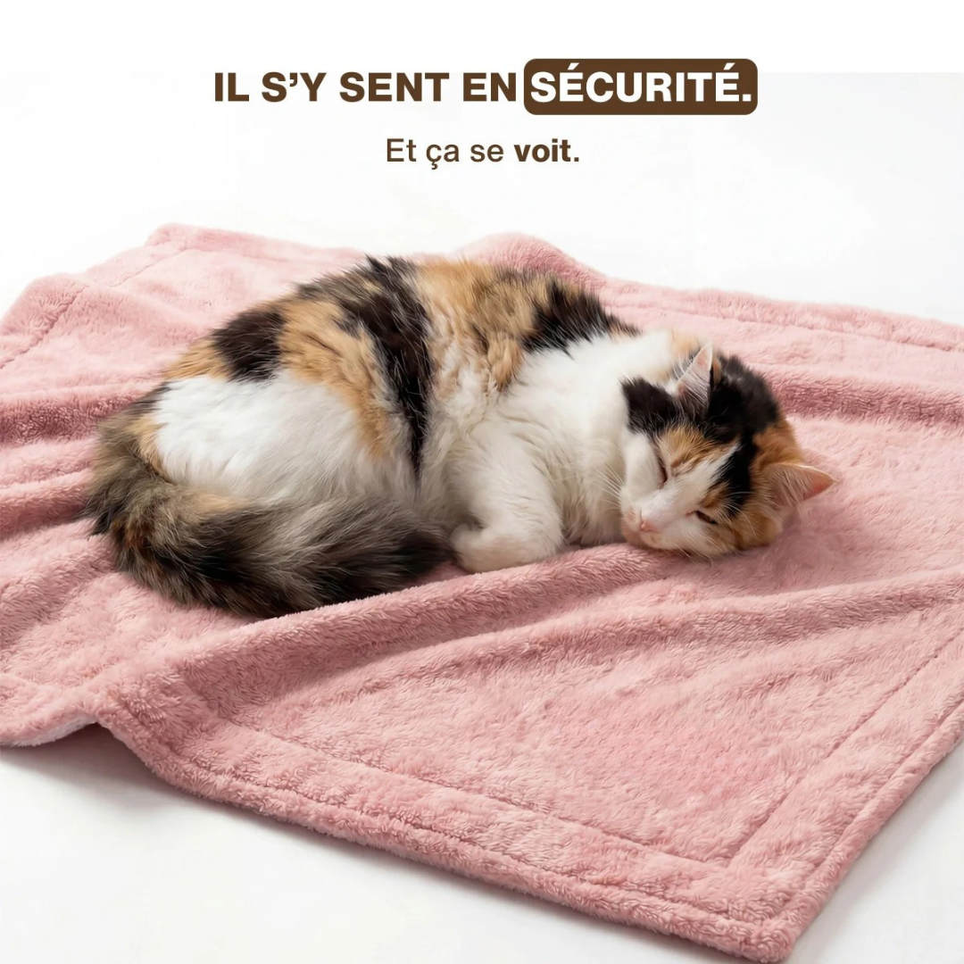 Kuscheldecke für Katzen