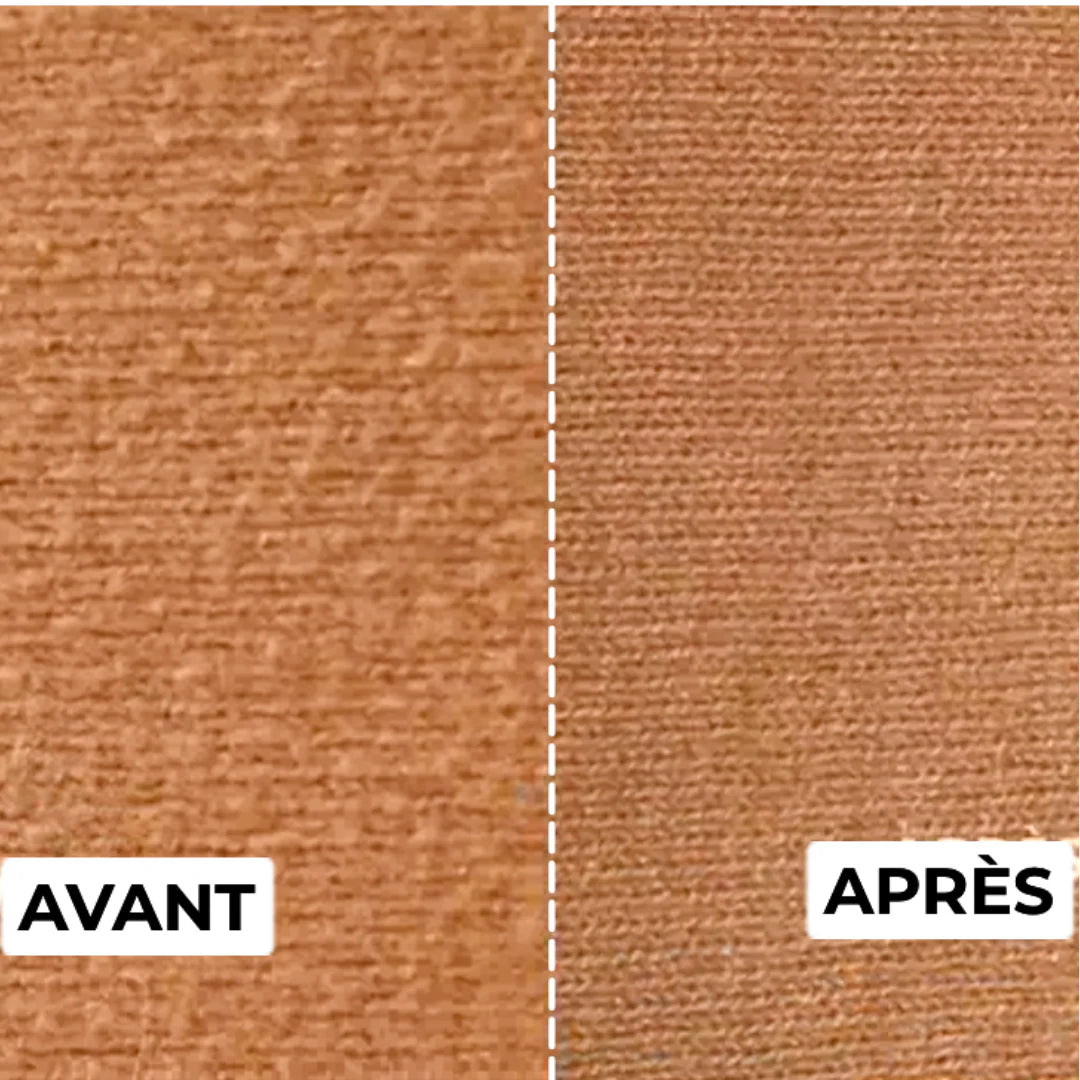 Éliminateur de Peluches Rechargeable 2.0