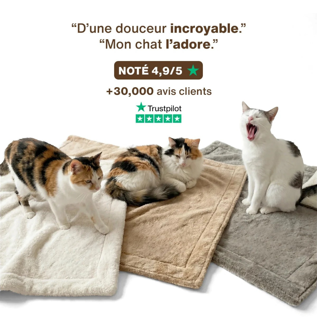 Kuscheldecke für Katzen