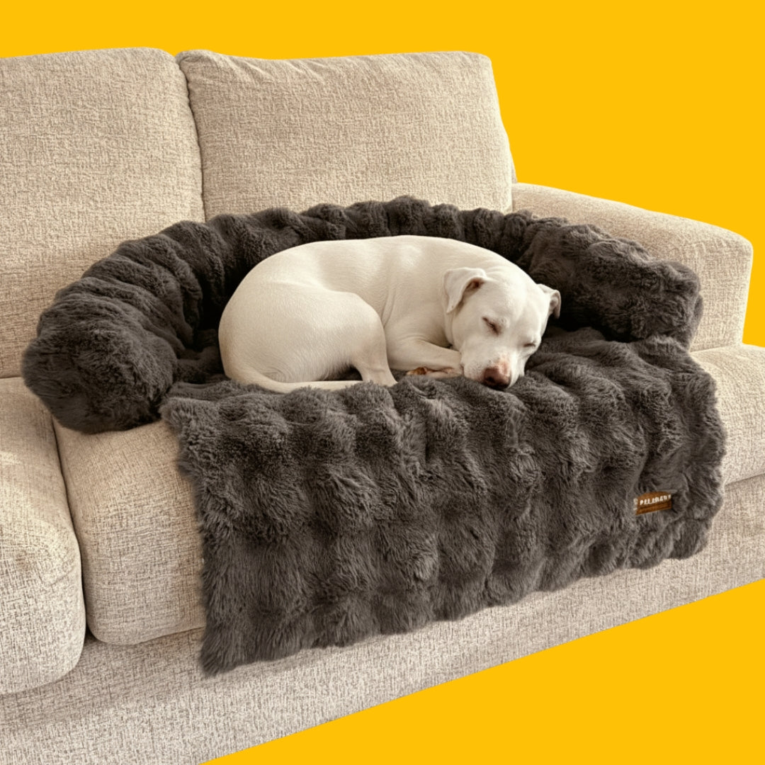 Canapé-lit doux et confortable pour chien