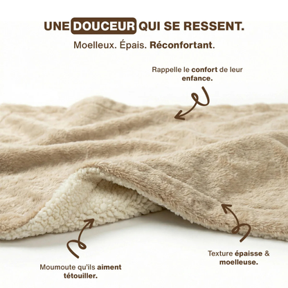 Kuscheldecke für Katzen
