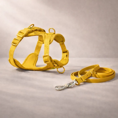 Harnais anti-traction avec laisse pour chien