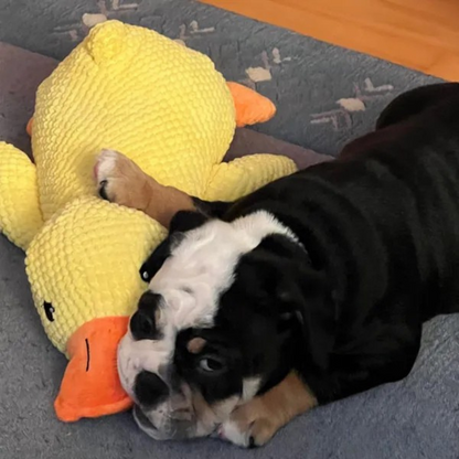 Jouet en Peluche Canard pour Chien