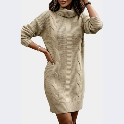 Strickkleid mit Rollkragen