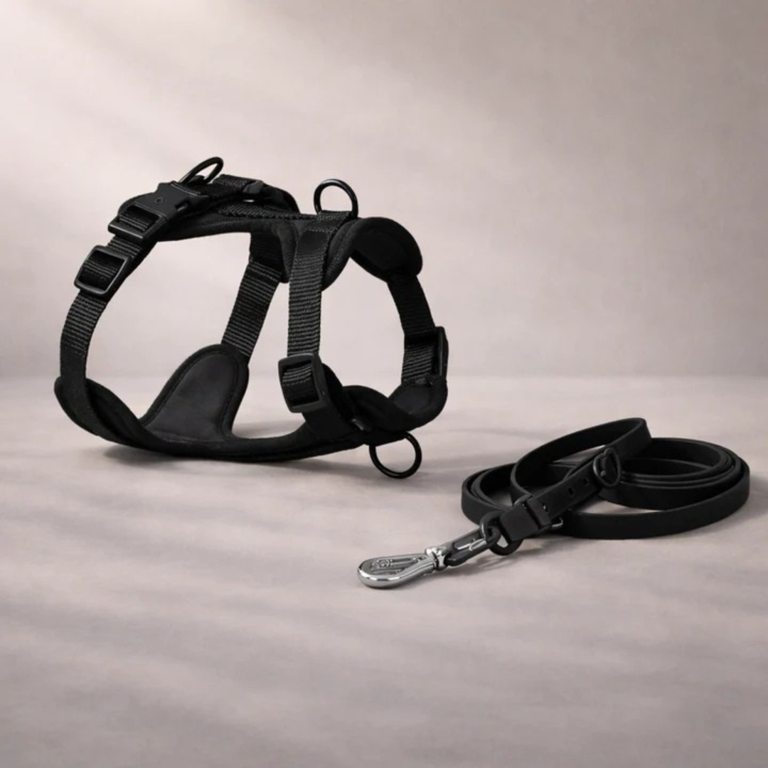 Harnais anti-traction avec laisse pour chien