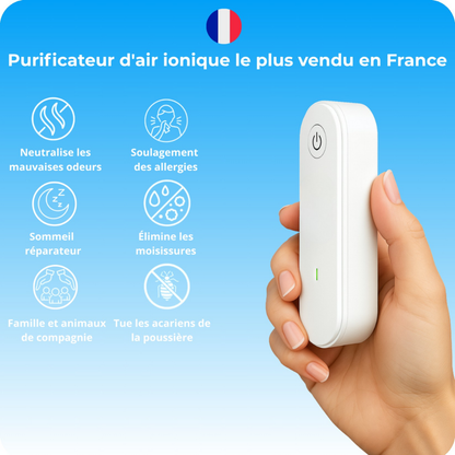 Tragbarer Luftreiniger