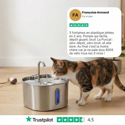 Katzen-Trinkbrunnen aus Edelstahl