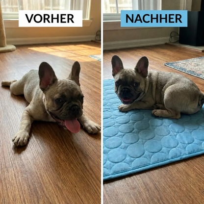 Tapis rafraîchissant chien chat anti chaleur confortable