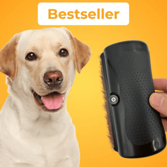 Brosse Anti-Poils pour Animaux