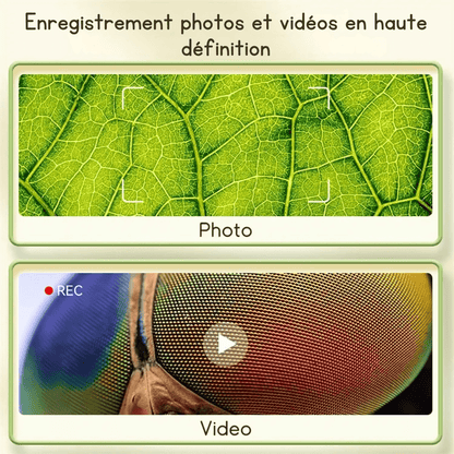 Le MiniScope