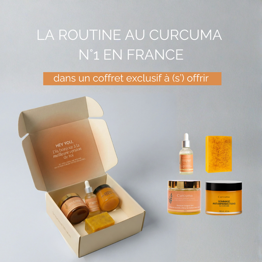 ioniseur-purificateur d'air efficace et naturel pour une maison saine