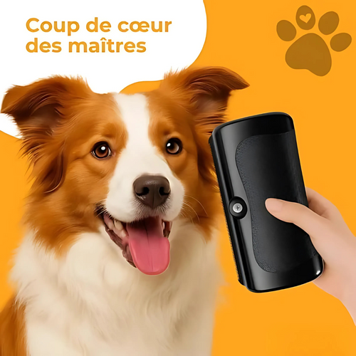 Brosse anti-poils pour chiens et chats