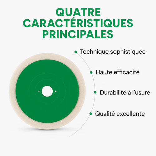Disque de polissage universel