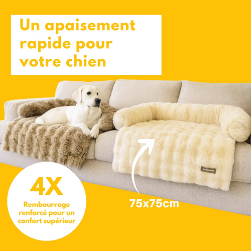 Canapé-lit doux et confortable pour chien