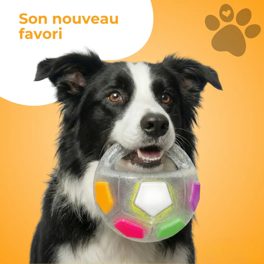 Jouet Résistant pour Chiens