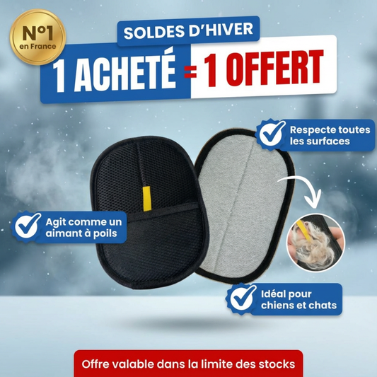 Gant anti-poils réutilisable pour canapé et vêtements