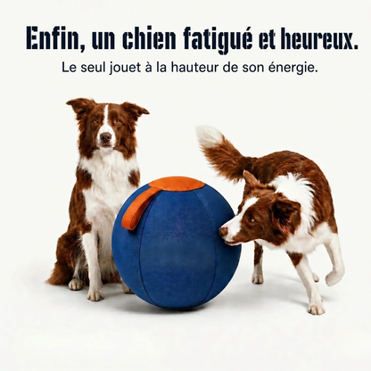 Balle interactive pour chien résistante
