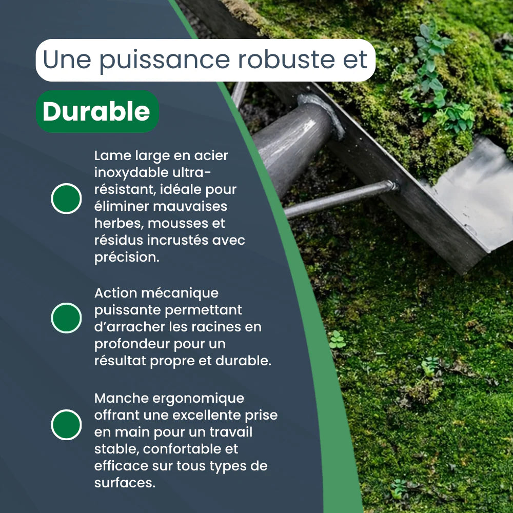 Raclette en Acier Inoxydable Ultra-Résistante pour Désherbage