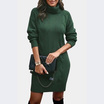 Strickkleid mit Rollkragen