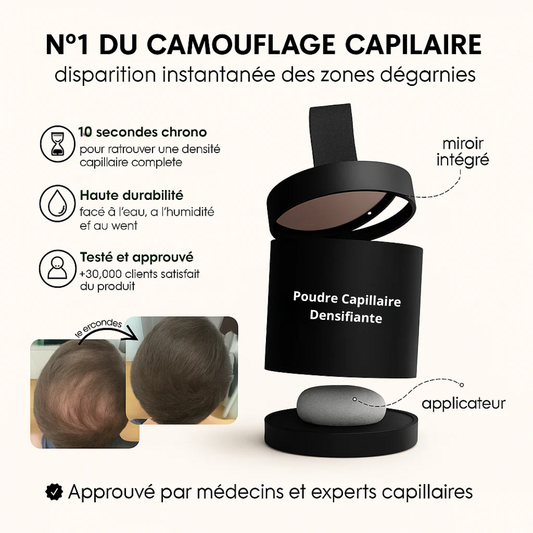 Poudre densifiante pour cheveux