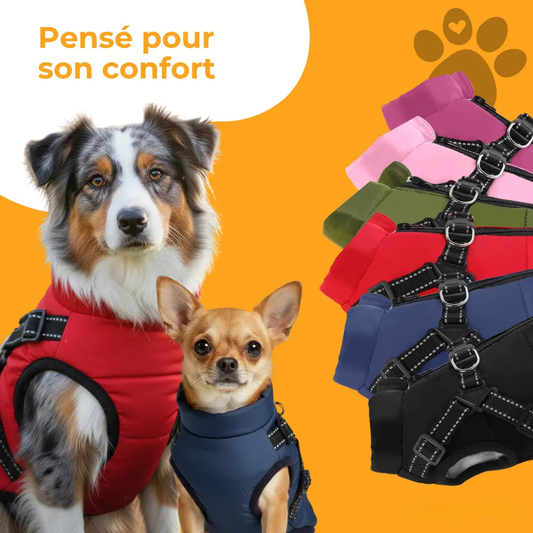 Manteau imperméable pour chien avec harnais intégré