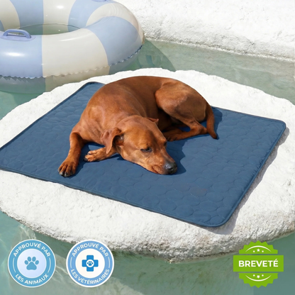 Tapis Rafraîchissant Chien Anti-Chaleur