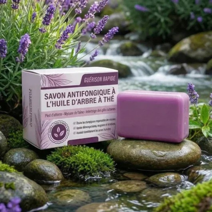 Savon Antifongique
